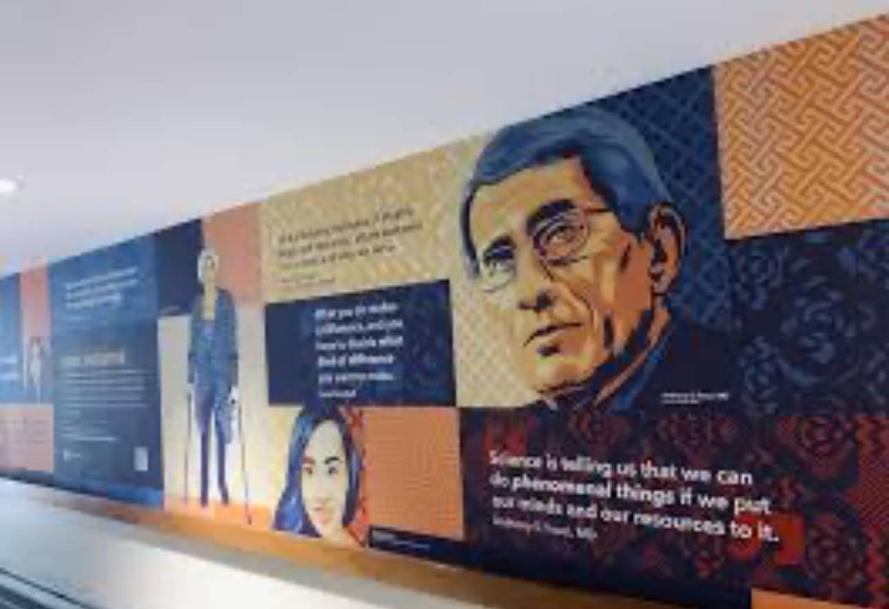 Fauci Mural Taken Down at National Institutes of Health