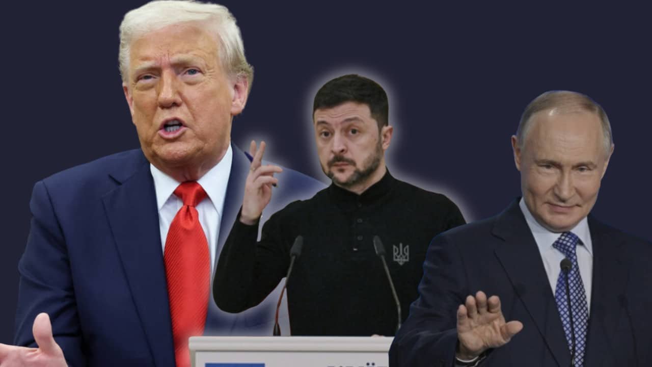 Trump Calls Zelenskyy's Stance