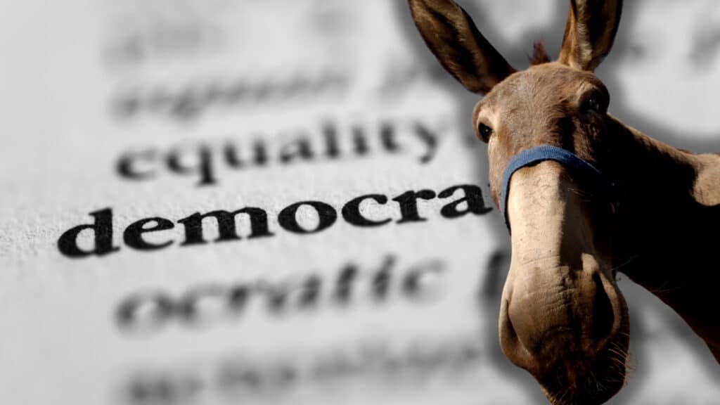 "Democratic corruption exposed—donkey in the spotlight! Trump supporters demand justice for America First! #CorruptDemocrats #TrumpWins #Maga"