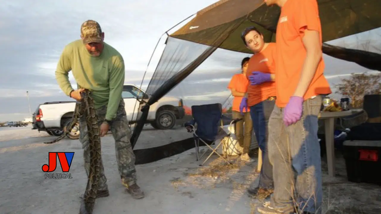 Burmese Python Mess: MAGA’s Ready to Clean Up Florida’s Everglades