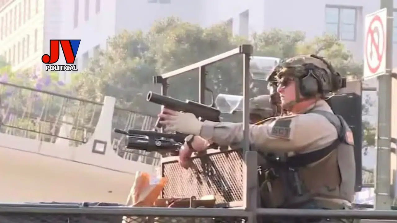 Los Angeles in Chaos